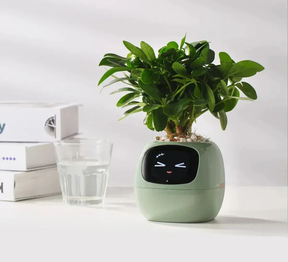 Smart AI Plant Pot Planter