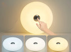 Donut Glass Lamp